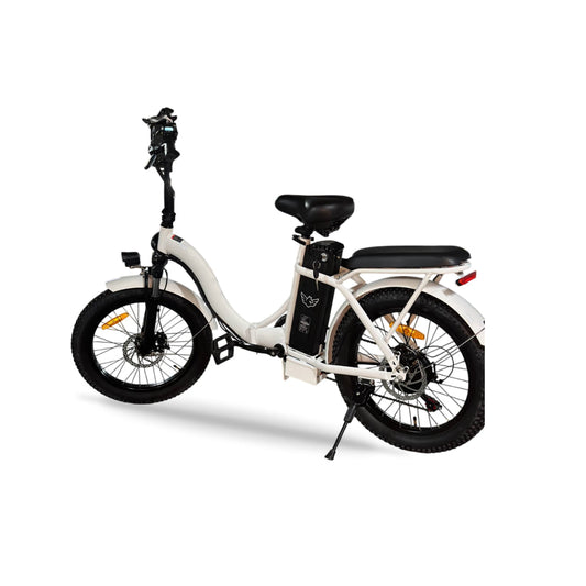 Bicicleta Electrica E20